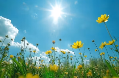 Hyvänpäivän keräys